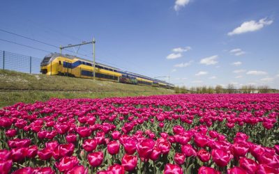 Neste år bare vindkraftdrevne tog i Nederland