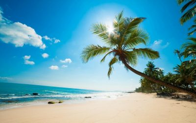 Sluker den kinesiske dragen Barbados?