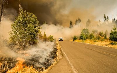 Planeten først – John Kerry – USA’s klimapolitikks nye leder