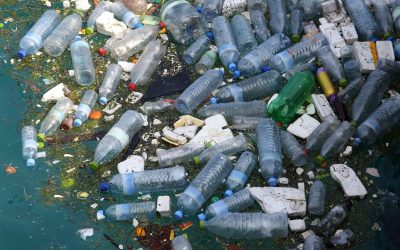 Plast i mat-emballasje og landbruk