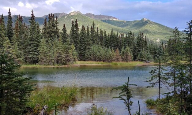 Meeting between Trump and Putin in Alaska