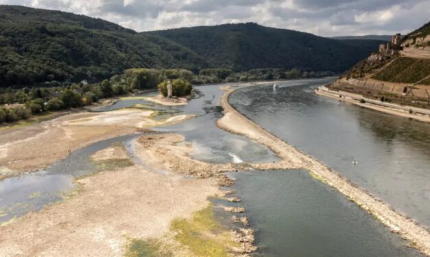 The amount of water in Europe’s major rivers has dramatically decreased due to drought