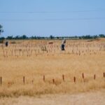 The Ottawa Treaty on Landmines That Kill