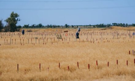The Ottawa Treaty on Landmines That Kill