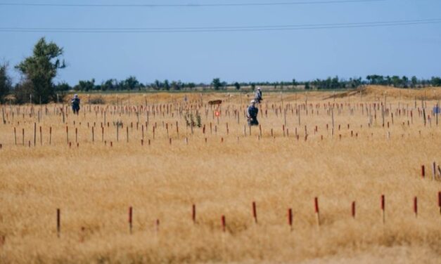 The Ottawa Treaty on Landmines That Kill