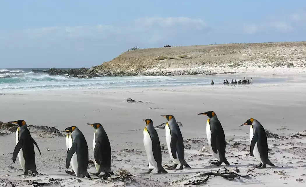 The Falkland Islands conflict flares up again
