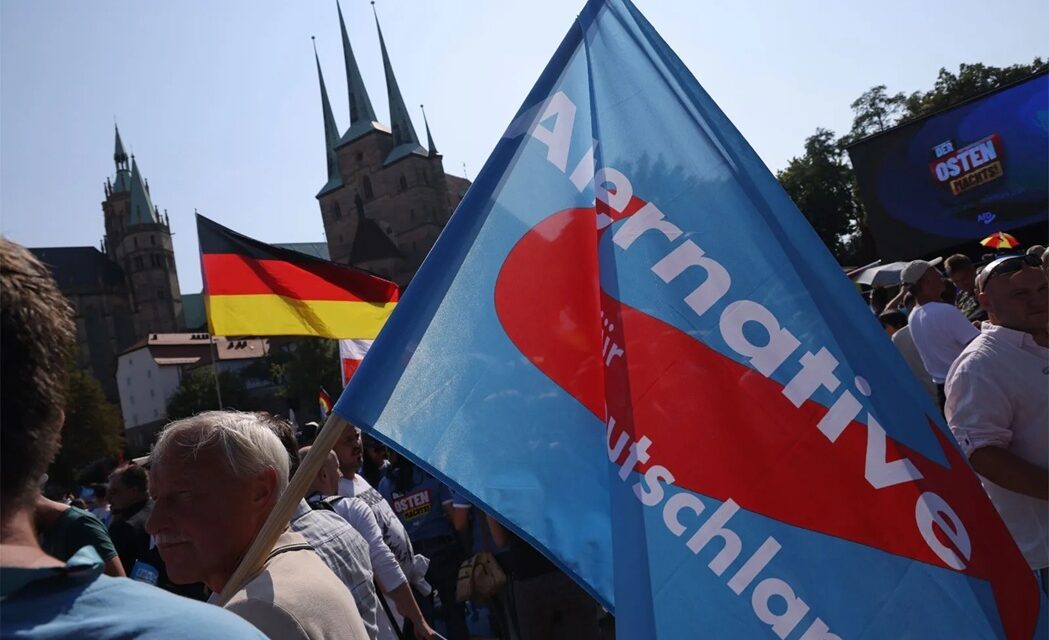 Alternative für Deutschland – AfD touts its progress