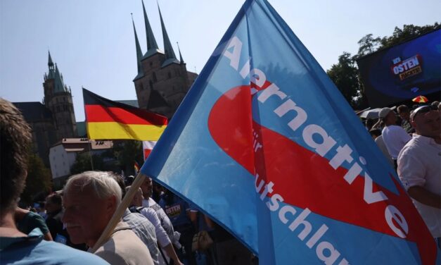 Alternative für Deutschland – AfD touts its progress