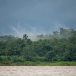 Amazon deforestation lowest level since 1988