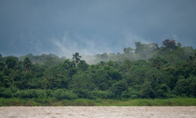 Amazon deforestation lowest level since 1988